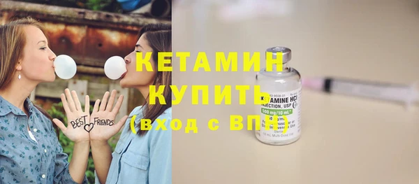 индика Козловка