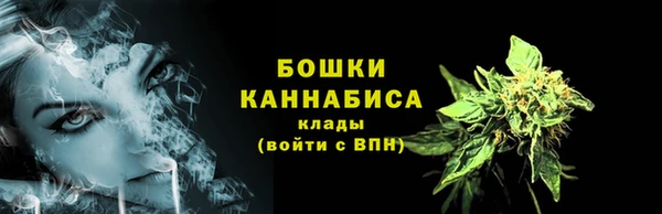 индика Козловка