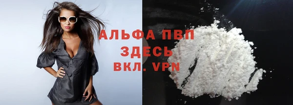 индика Козловка
