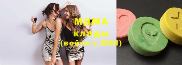 индика Козловка