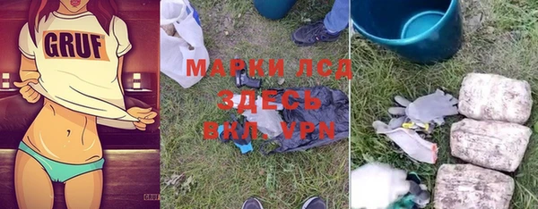 индика Козловка
