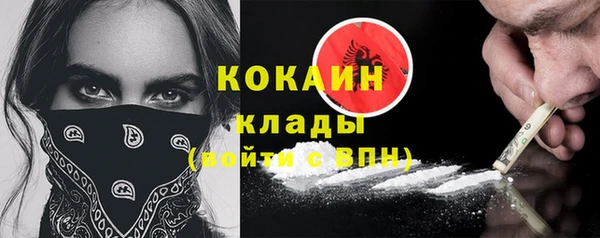 индика Козловка