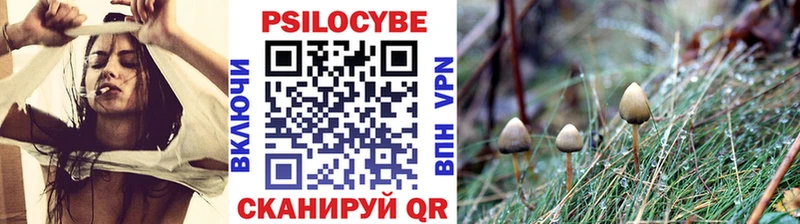 Псилоцибиновые грибы ЛСД Красный Кут